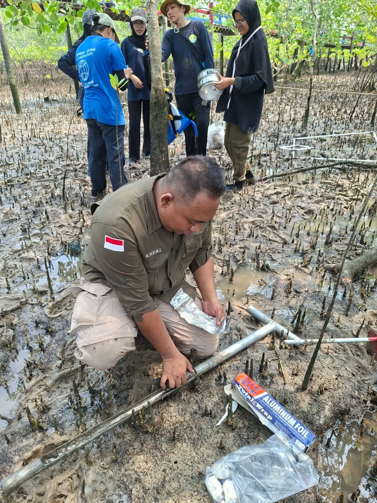 Installing field equipment in mangrove sediment
